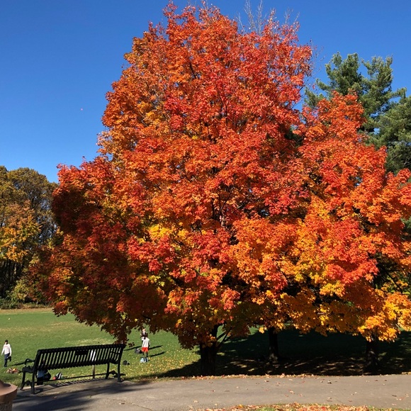 Meet your Posher, KDL - Picture 2 of 2